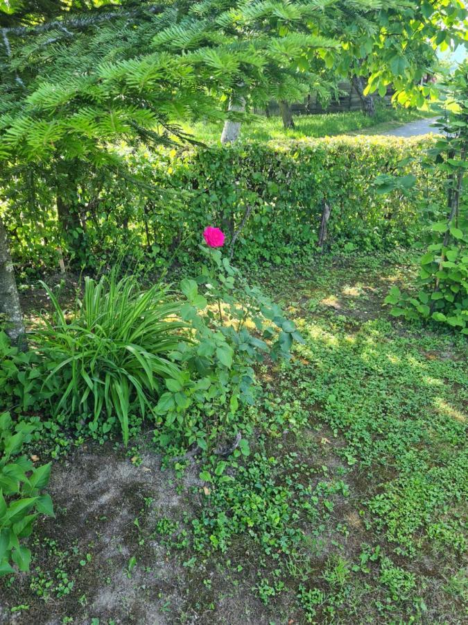 Holiday Home Hizica V Plavem Trnacu Gornja Stubica Exterior foto